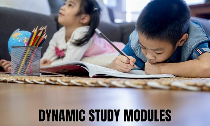 Dynamic Study Modules